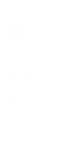Tortora dal collare Collary dove Streptopelia turtur Columbiformes Columbidae Valle Campo (Ferrara) Emilia Romagna Italia 29 aprile 2017