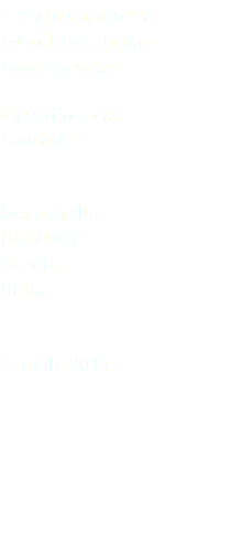 Averla capirossa Woodchat shrike Lanius senator Passeriformes Laniidae Scannarello (Rovigo) Veneto Italia 9 aprile 2017