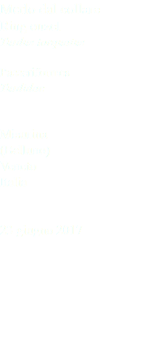 Merlo dal collare Ring ouzel Turdus torquatus Passeriformes Turdidae Misurina (Belluno) Veneto Italia 23 giugno 2017