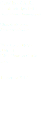 Cavaliere d'Italia Black-windged stilt Himantopus himantopus Charadriiformes Recurvirostridae Valle Canal Novo (Udine) Friuli Venezia Giulia Italia 11 giugno 2017