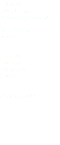 Calandra Calandra lark Melanocorypha calandra Passeriformes Alaudidae Castuera (Badajoz) Extremadura Spagna 23 maggio 2017
