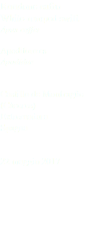 Rondone cafro White-rumped swift Apus caffer Apodiformes Apodidae Castillo de Monfragüe (Cáceres) Extremadura Spagna 22 maggio 2017