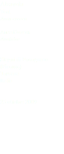 Alzavola Teal Anas crecca Anseriformes Anatidae Stagni di Focognano (Firenze) Toscana Italia 25 ottobre 2009