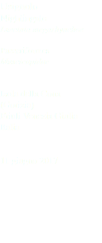 Usignolo Nightingale Luscinia megarhynchos Passeriformes Muscicapidae Isola della Cona (Gorizia) Friuli Venezia Giulia Italia 11 giugno 2017