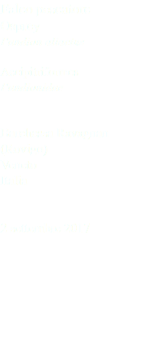 Falco pescatore Osprey Pandion aliaetus Accipitriformes Pandionidae Barchessa Ravagnan (Rovigo) Veneto Italia 2 settembre 2017