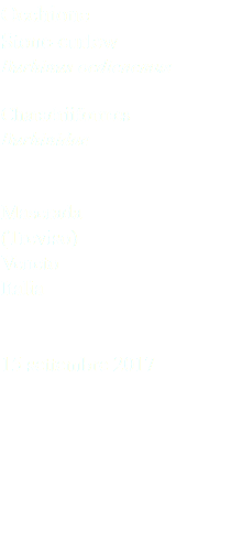 Occhione Stone-curlew Burhinus oedicnemus Charadriiformes Burhinidae Maserada (Treviso) Veneto Italia 15 settembre 2017