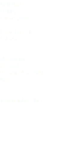 Lodolaio Hobby Falco subbuteo Falconiformes Falconidae Valcanover (Trento) Trentino Alto Adige Italia 18 settembre 2017