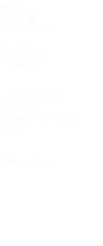 Topino Sand martin Riparia riparia Passeriformes Hirundinidae Passo delle Erbe (Bolzano) Trentino Alto Adige Italia 19 luglio 2017