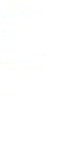 Bigiarella Lesser whitethroat Sylvia curruca Passeriformes Sylviidae Rifugio Fodara Vedla (Bolzano) Trentino Alto Adige Italia 17 giugno 2017