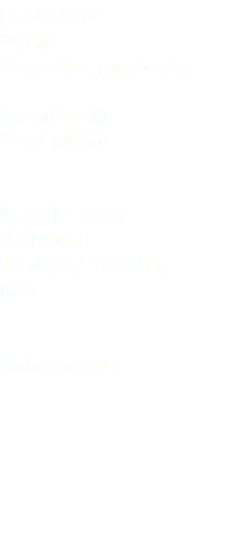 Scricciolo Wren Troglodytes troglodytes Passeriformes Troglodytidae Forcella Goma (Bolzano) Trentino Alto Adige Italia 20 luglio 2017