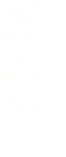 Picchio muratore Nuthatch Sitta europaea Passeriformes Sittidae Lago di Levico (Trento) Trentino Alto Adige Italia 18 settembre 2017