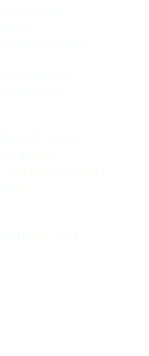 Lucherino Siskin Carduelis spinus Passeriformes Fringillidae Forcella Goma (Bolzano) Trentino Alto Adige Italia 20 luglio 2017
