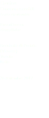 Crociere Common crossbill Loxia curvirostra Passeriformes Fringillidae Bocchetta di Portule (Vicenza) Veneto Italia 26 settembre 2017