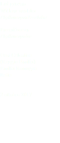 Luì grosso Willow warbler PhylloscopusTrochilus Passeriformes Phylloscopidae Oasi Celestina (Reggio Emilia) Emilia Romagna Italia 2 ottobre 2017