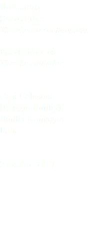 Ibis sacro Sacred ibis Threskiornis aethiopicus Pelecaniformes Threskiornithidae Oasi Celestina (Reggio Emilia) Emilia Romagna Italia 2 ottobre 2017