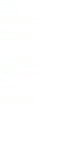 Gheppio Kestrel Falco tinnunculus Falconiformes Falconidae Oasi Celestina (Reggio Emilia) Emilia Romagna Italia 2 ottobre 2017