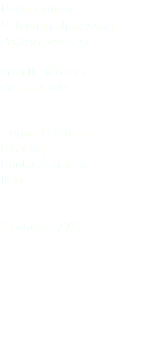 Berta minore Yelkouan shearwater Puffinus yelkouan Procellariiformes Procellariidae Gorino Ferrarese (Ferrara) Emilia Romagna Italia 22 ottobre 2017