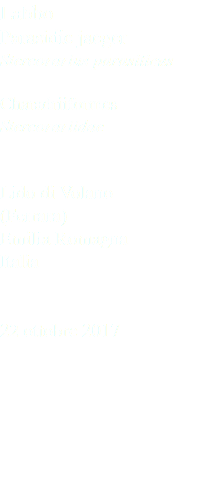 Labbo Parasidic jaeger Stercorarius parasiticus Charadriiformes Stercorariidae Lido di Volano (Ferrara) Emilia Romagna Italia 22 ottobre 2017