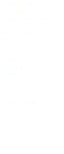 Cincia dal ciuffo Crested tit Lophophanes cristatus Passeriformes Paridae Pian Rosada (Belluno) Veneto Italia 13 ottobre 2017