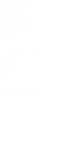 Tordo sassello Redwing Turdus iliacus Passeriformes Turdidae Conca dei Parpari (Verona) Veneto Italia 245 ottobre 2017