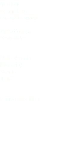 Verdone Greenfinch Carduelis chloris Passeriformes Fringillidae Valle Vecchia (Venezia) Veneto Italia 2 novembre 2017