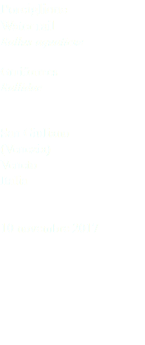 Porciglione Water rail Rallus aquaticus Gruiformes Rallidae San Giuliano (Venezia) Veneto Italia 10 novembre 2017