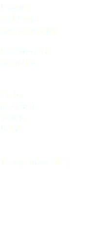 Regolo Goldcrest Regulus regulus Passeriformes Regulidae Casier (Treviso) Veneto Italia 11 novembre 2017