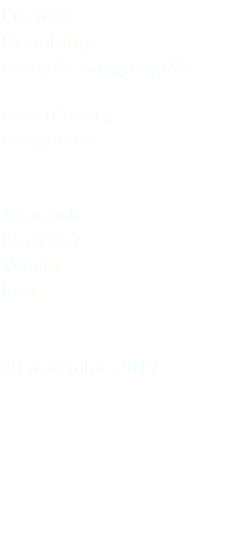 Peppola Brambling Fringilla montifringilla Passeriformes Fringillidae Maserada (Treviso) Veneto Italia 20 novembre 2017