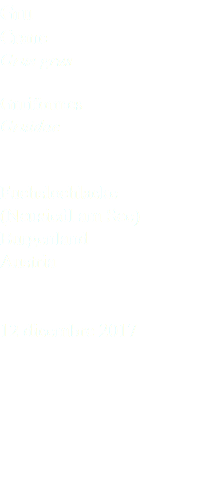 Gru Crane Grus grus Gruiformes Gruidae Fuchslochlacke (Neusiedl am See) Burgenland Austria 12 dicembre 2017