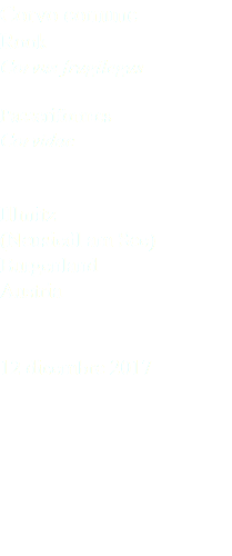 Corvo comune Rook Corvus frugilegus Passeriformes Corvidae Illmitz (Neusiedl am See) Burgenland Austria 12 dicembre 2017