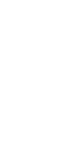 Merlo dal collare Ring ouzel Turdus torquatus Passeriformes Turdidae Forcella Zoppei (Treviso) Veneto Italia 29 maggio 2018