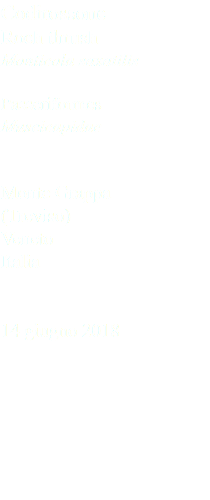 Codirossone Roch thrush Monticola saxatilis Passeriformes Muscicapidae Monte Grappa (Treviso) Veneto Italia 14 giugno 2018