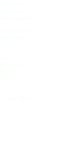 Spioncello Water pipit Anthus spinoletta Passeriformes Motacillidae Viel dal Pan (Belluno) Veneto Italia 9 luglio 2018