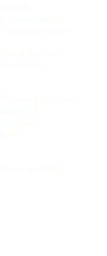 Gipeto Bearded vulture Gypaetus barbatus Accipitriformes Accipitridae Passo dello Stelvio (Sondrio) Lombardia Italia 27 agosto 2018