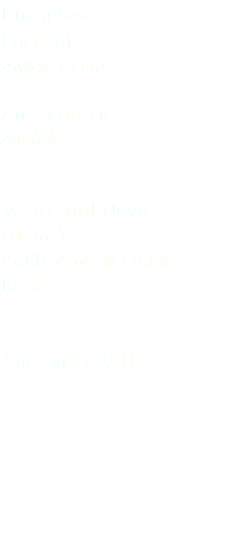 Moriglione Pochard Aythya ferina Anseriformes Anatidae Valle Canal Novo (Udine) Friuli Venezia Giulia Italia 4 dicembre 2018