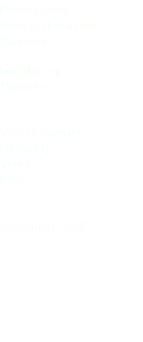 Barbagianni Western barn owl Tyto alba Strigiformes Tytonidae Valli di Zignago (Venezia) Veneto Italia 4 dicembre 2018
