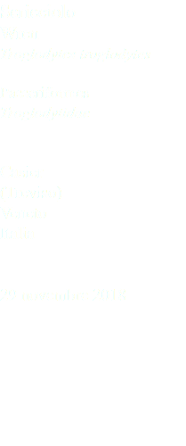 Scricciolo Wren Troglodytes troglodytes Passeriformes Troglodytidae Casier (Treviso) Veneto Italia 29 novembre 2018