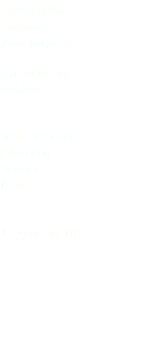 Canapiglia Gadwall Anas strepera Anseriformes Anatidae Valle Vecchia (Venezia) Veneto Italia 13 gennaio 2016