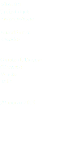 Moretta Tufted duck Aythya fuligula Anseriformes Anatidae Quinto di Treviso (Treviso) Veneto Italia 29 marzo 2019