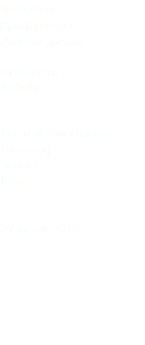 Voltolino Spotted crake Porzana porzana Gruiformes Rallidae Parco di San Giuliano (Venezia) Veneto Italia 27 marzo 2019