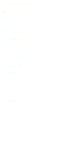 Balestruccio House martin Delichum urbicum Passeriformes Hirundinidae Parco di San Giuliano (Venezia) Veneto Italia 27 marzo 2019