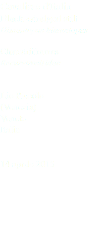 Cavaliere d'Italia Black-windged stilt Himantopus himantopus Charadriiformes Recurvirostridae Lio Piccolo (Venezia) Veneto Italia 14 aprile 2015