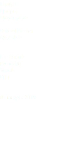 Upupa Hoopoe Upupa epops Bucerotiformes Upipidaee Lio Piccolo (Venezia) Veneto Italia 01 maggio 2019