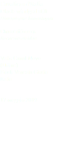 Cavaliere d'Italia Black-windged stilt Himantopus himantopus Charadriiformes Recurvirostridae Valle Canal Novo (Udine) Friuli Venezia Giulia Italia 17 maggio 2019