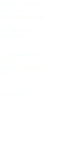 Tortora dal collare Turtle dove Streptopelia decaocto Columbiformes Columbidae Valle Canal Novo (Udine) Friuli Venezia Giulia Italia 17 maggio 2019