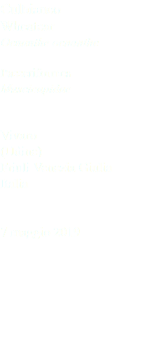 Culbianco Wheatear Oenanthe oenanthe Passeriformes Muscicapidae Vivaro (Udine) Friuli Venezia Giulia Italia 7 maggio 2019