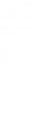 Chiurlo maggiore Curlew Numenius arquata Charadriiformes Scolopacidae Lio Piccolo (Venezia) Veneto Italia 14 aprile 2015