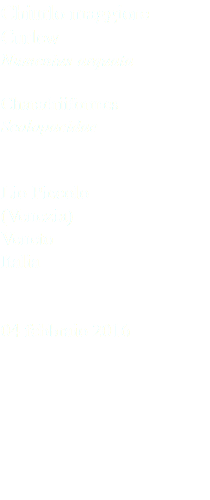 Chiurlo maggiore Curlew Numenius arquata Charadriiformes Scolopacidae Lio Piccolo (Venezia) Veneto Italia 04 febbraio 2016