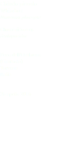 Chiurlo piccolo Whimbrel Numenius phaeopus Charadriiformes Scolopacidae Foce dell'Ombrone (Grosseto) Toscana Italia 26 aprile 2016