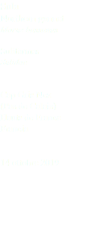 Sula Northern gannet Morus bassanus Suliformes Sulidae Cap Gris Nez (Pas de Calais) Hauts de France Francia 14 ottobre 2019